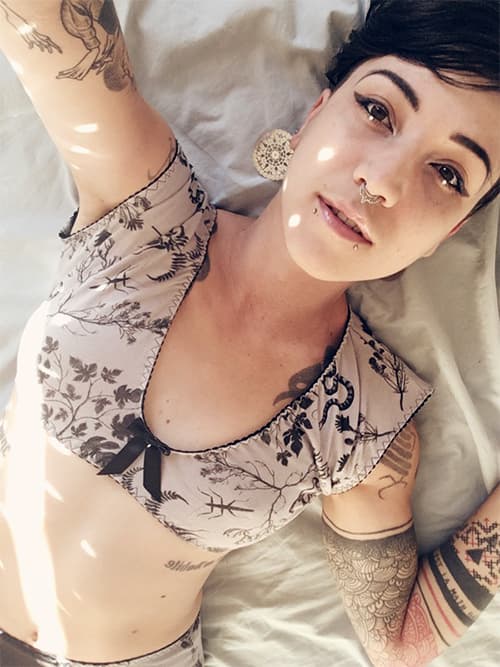 Photo HD Ursinae Vespéral - 1