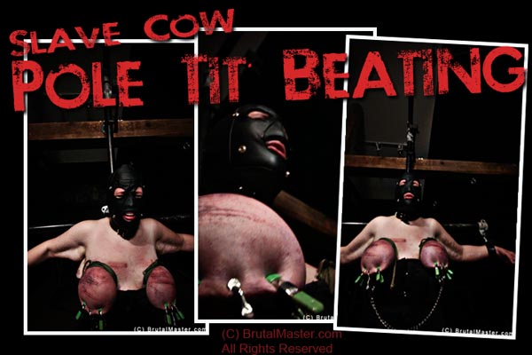 Slave Cow - Pole Tit Beating