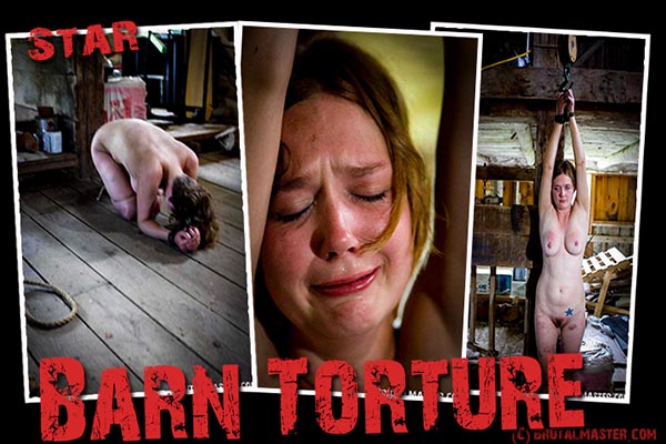 Star - Barn Torture