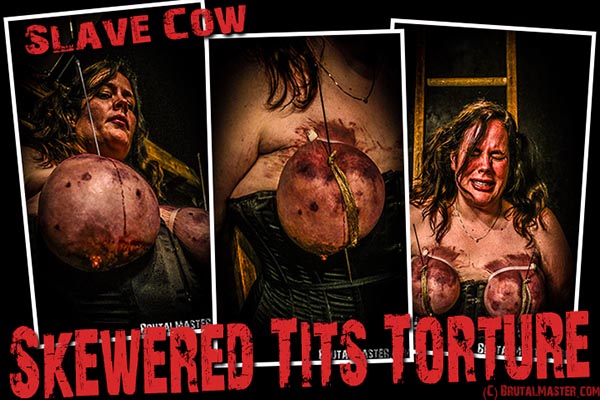 Slave Cow - Skewered Tits Torture
