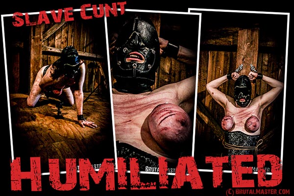 Slave Cunt - Humiliated