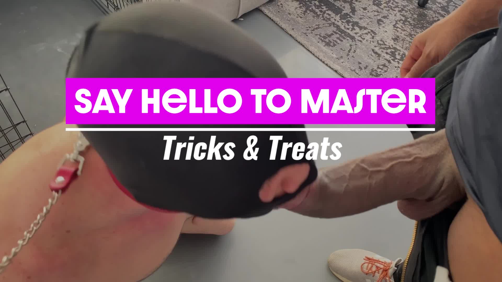 Say Hello to Master: Tricks & Treats