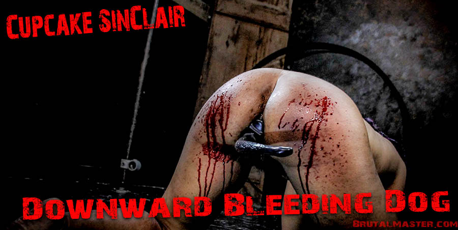 Cupcake SinClair - Downward Bleeding Dog