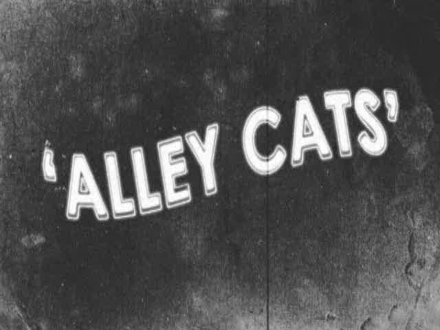 Alley Cats