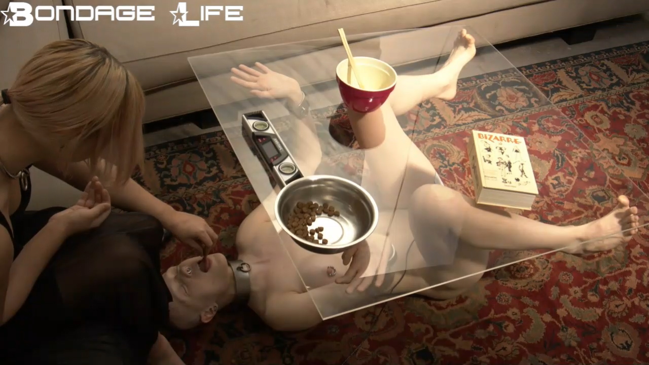 Captured Kitty And Greyhound CoffeeTable Lunch Commentary