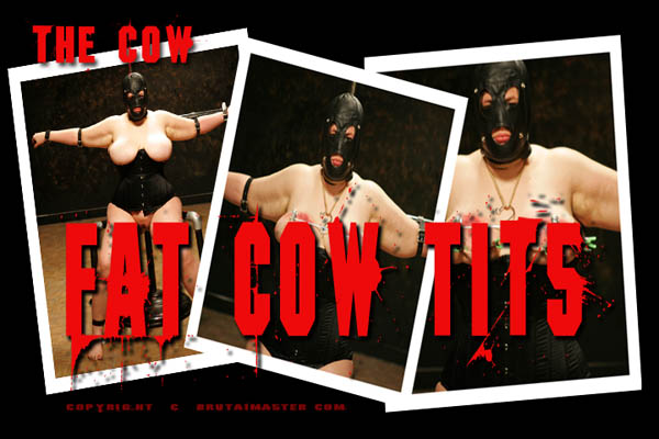 The Cow - Fat Cow Tits