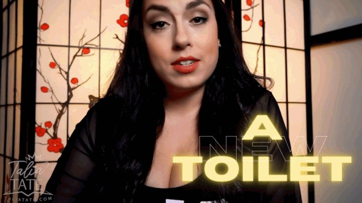 A New Toilet