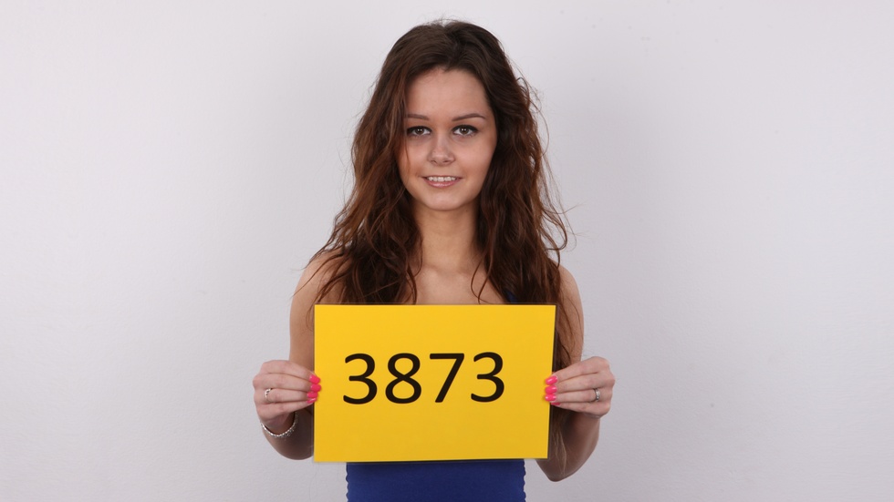 Silvie (3873)