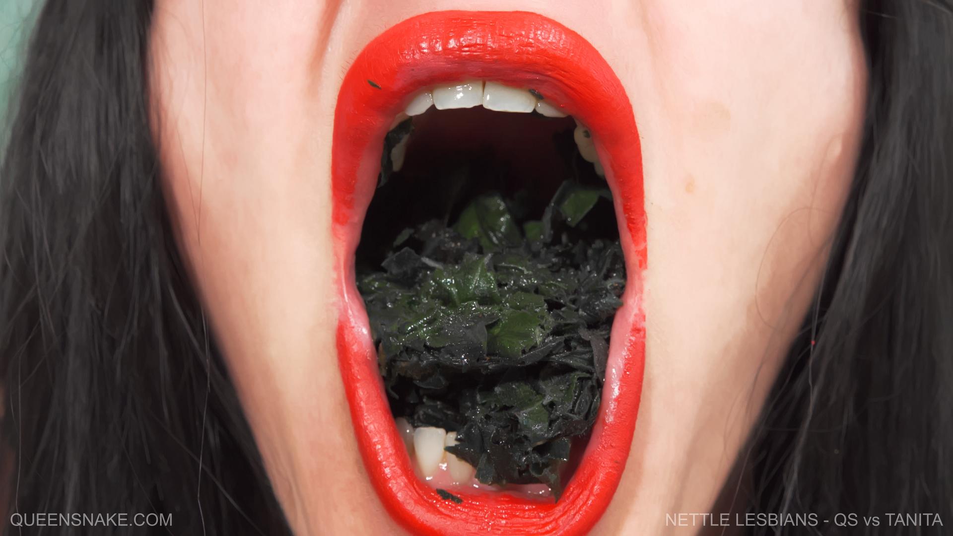 NETTLE LESBIANS - QS VS TANITA