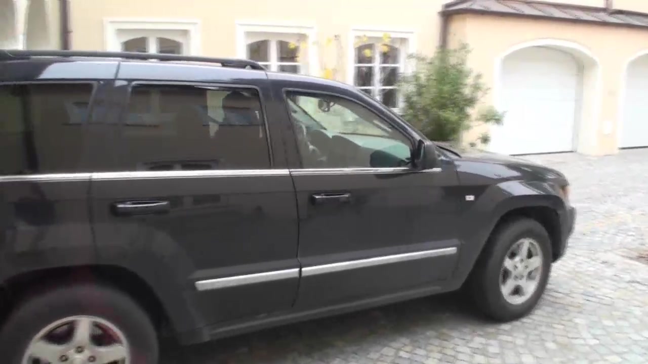 Looking for Mushrooms Dressed Up in Latex