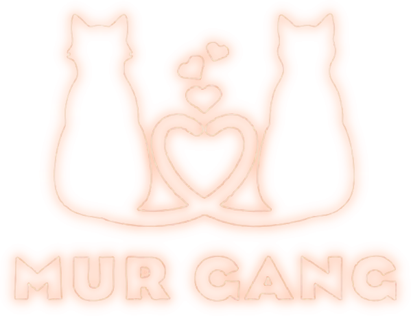 Mur Gang