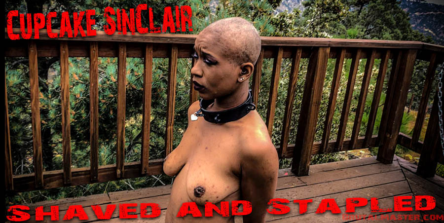 Cupcake SinClair - Shaved And Stapled