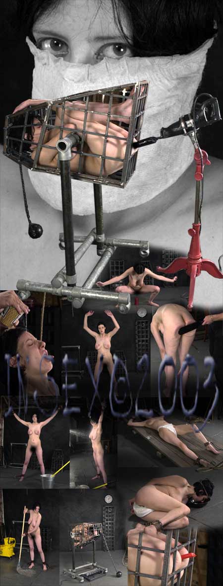 Fucked (3rd day of 101's 48h feed)