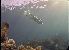 Ocean Play #3
