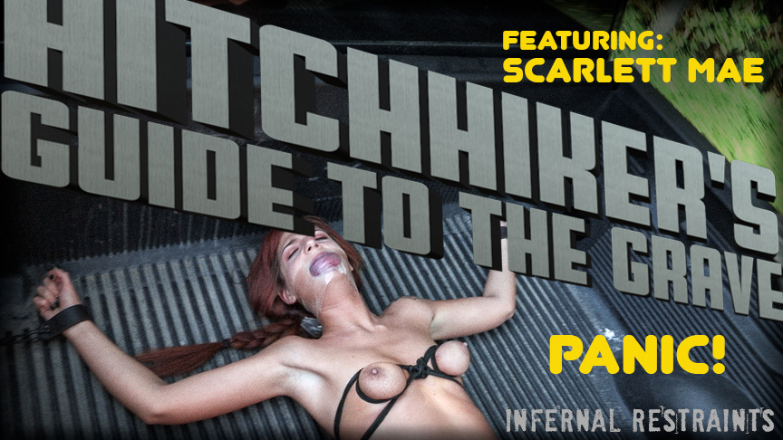 Hitchhiker's Guide to the Grave