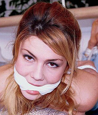 Taylor Michaels Harmony Concepts