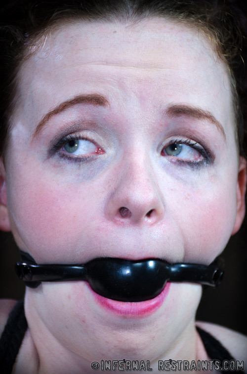 Photo HD Maxxx Maven - 1