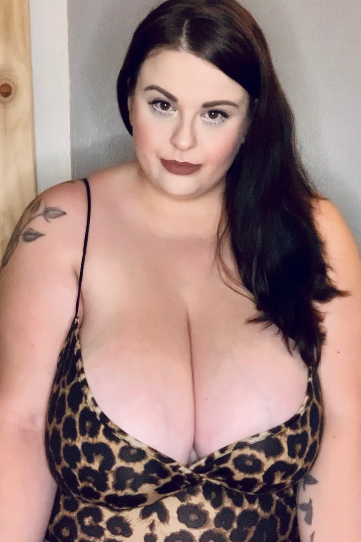 Photo HD Arana Coyote - 1