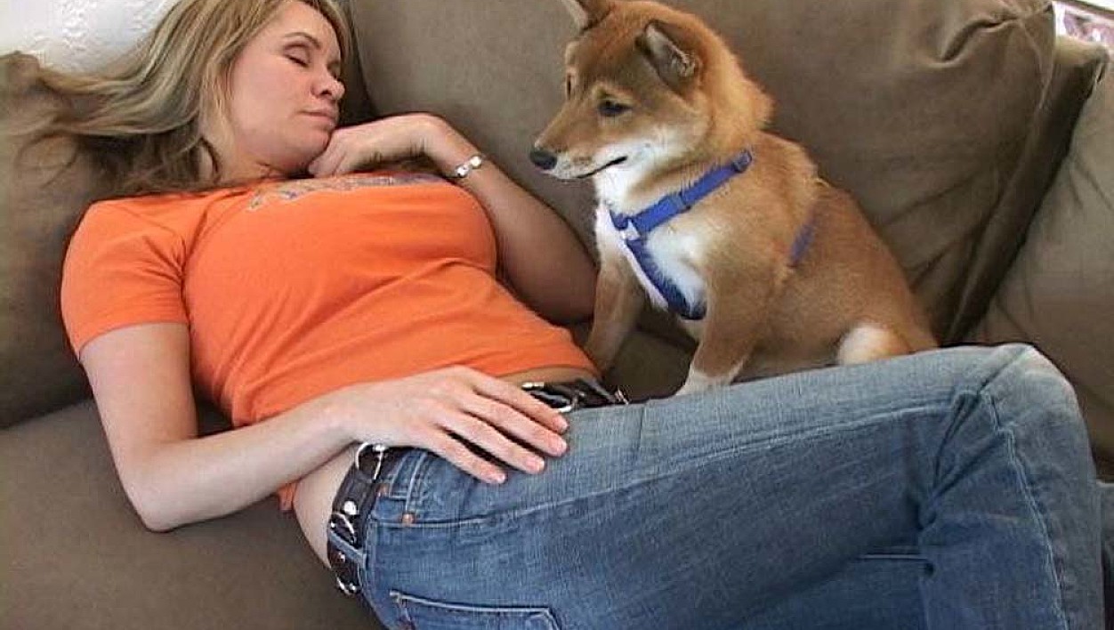 Bridgette Monroe fucking in the couch with her petite