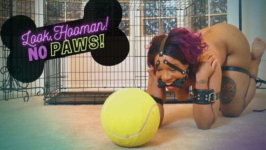 Look Hooman! No Paws