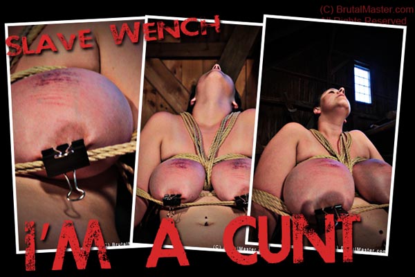 Slave Wench - I’m A Cunt