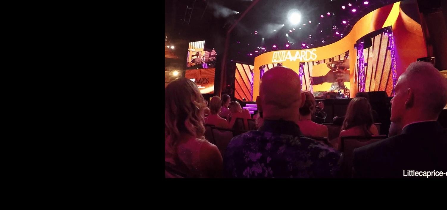 PORNLIFESTYLE Report AVN Las Vegas - part 2.