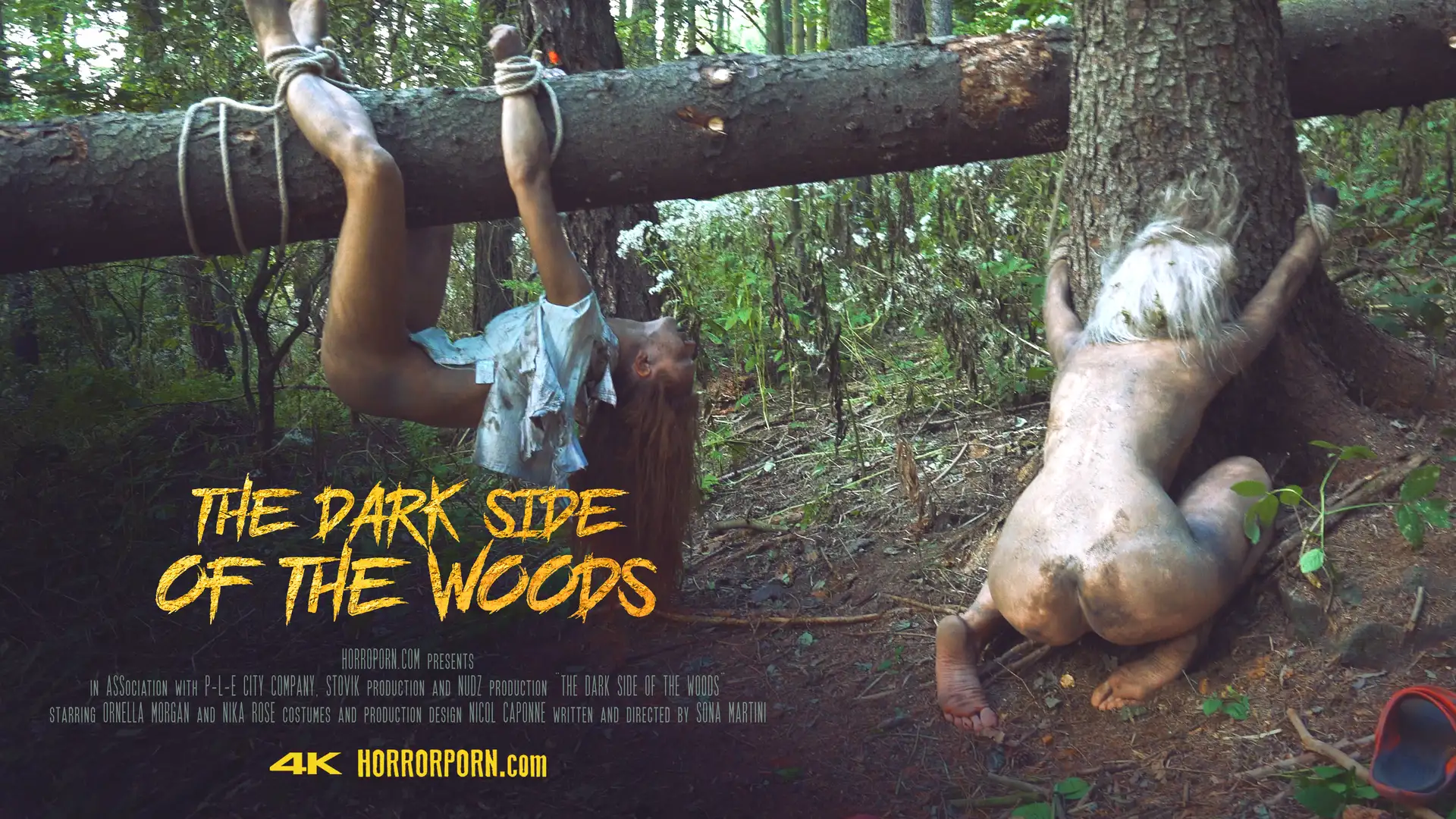 The Dark Side of the Woods