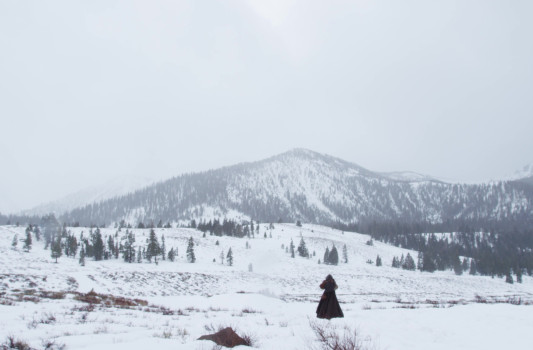 Trailer Of Tree Of Life