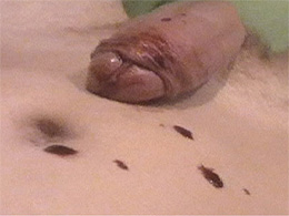 Two blowjobs and great fucking