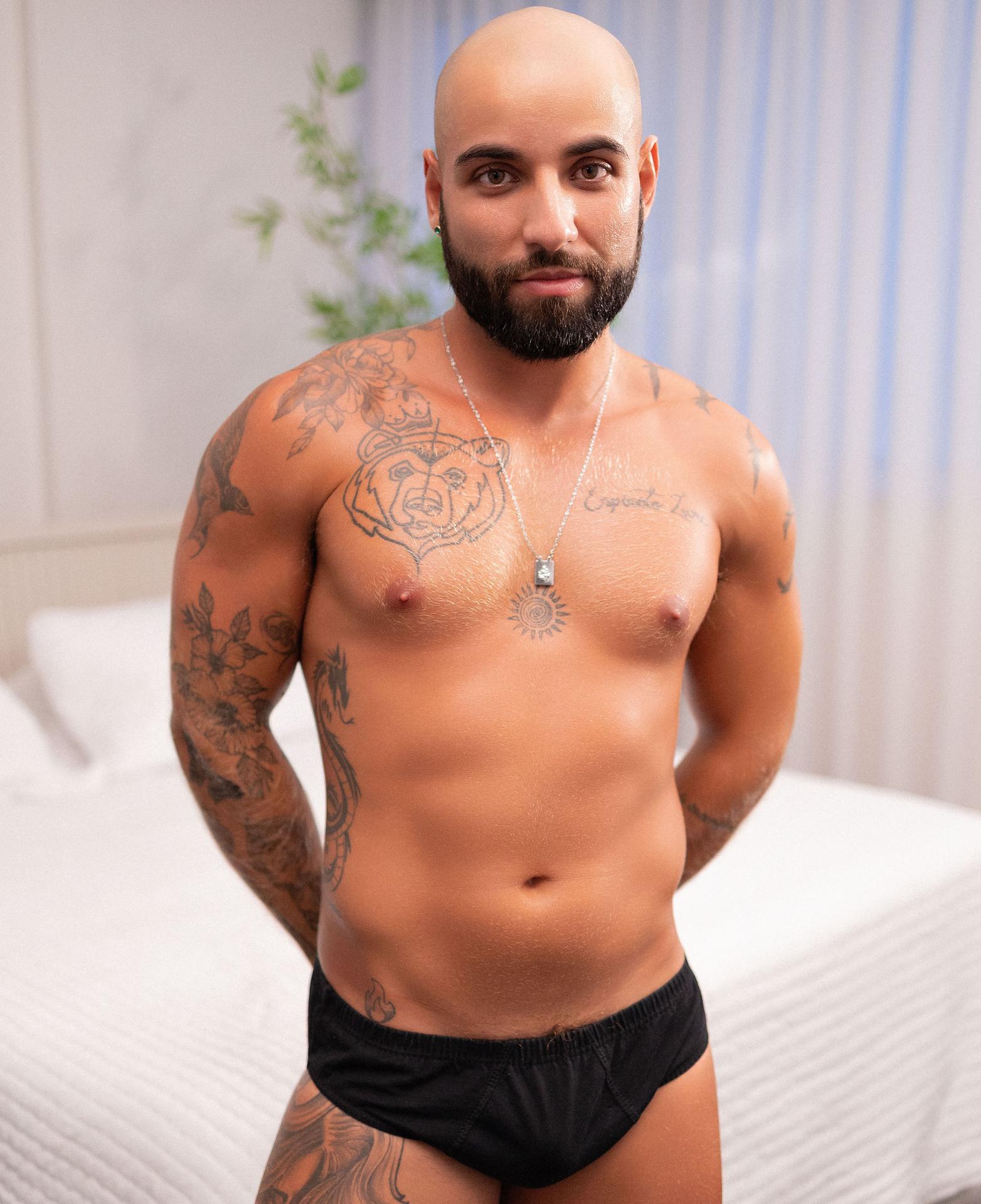 Gato Vira Lata
