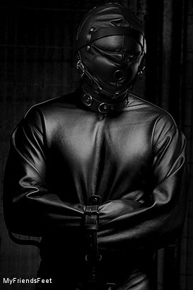 Photo HD Mike Maverick - 5