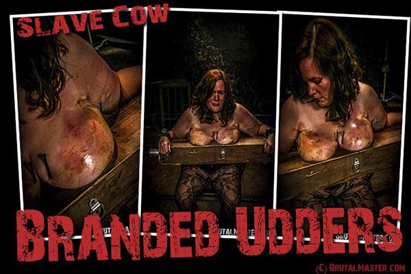 Slave Cow - Branded Udders