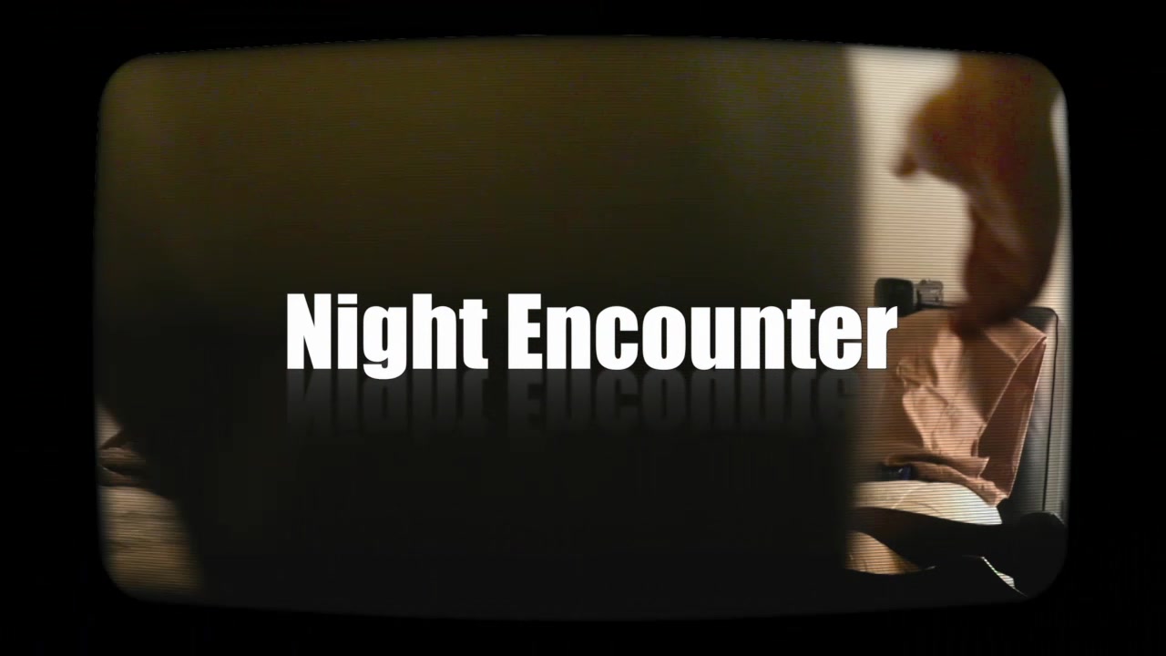 Night Encounter