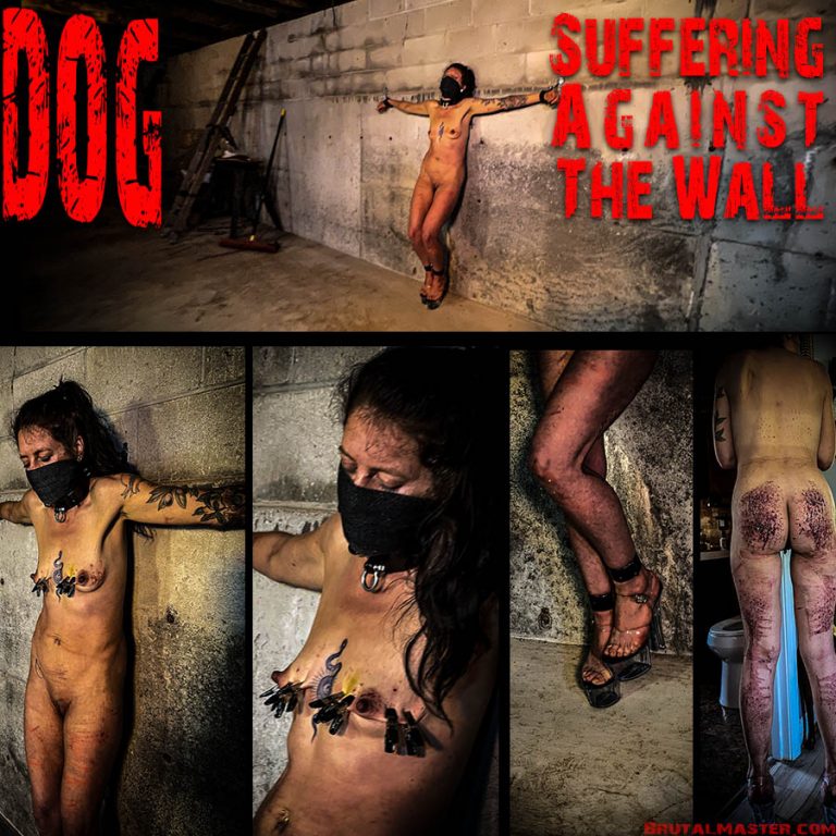 Dog - Against The Wall