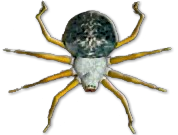 Insex (1997-2005)