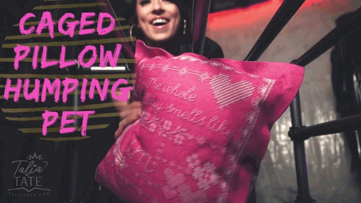 Caged Pillow Humping Pet