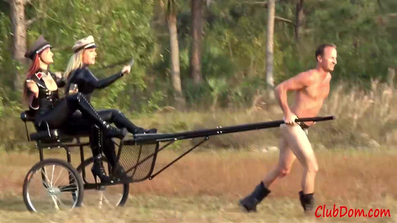 Punishing The Lazy Pony