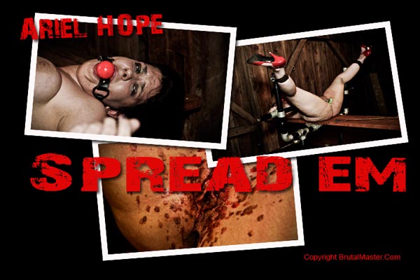 Ariel  Hope - Spread ’em