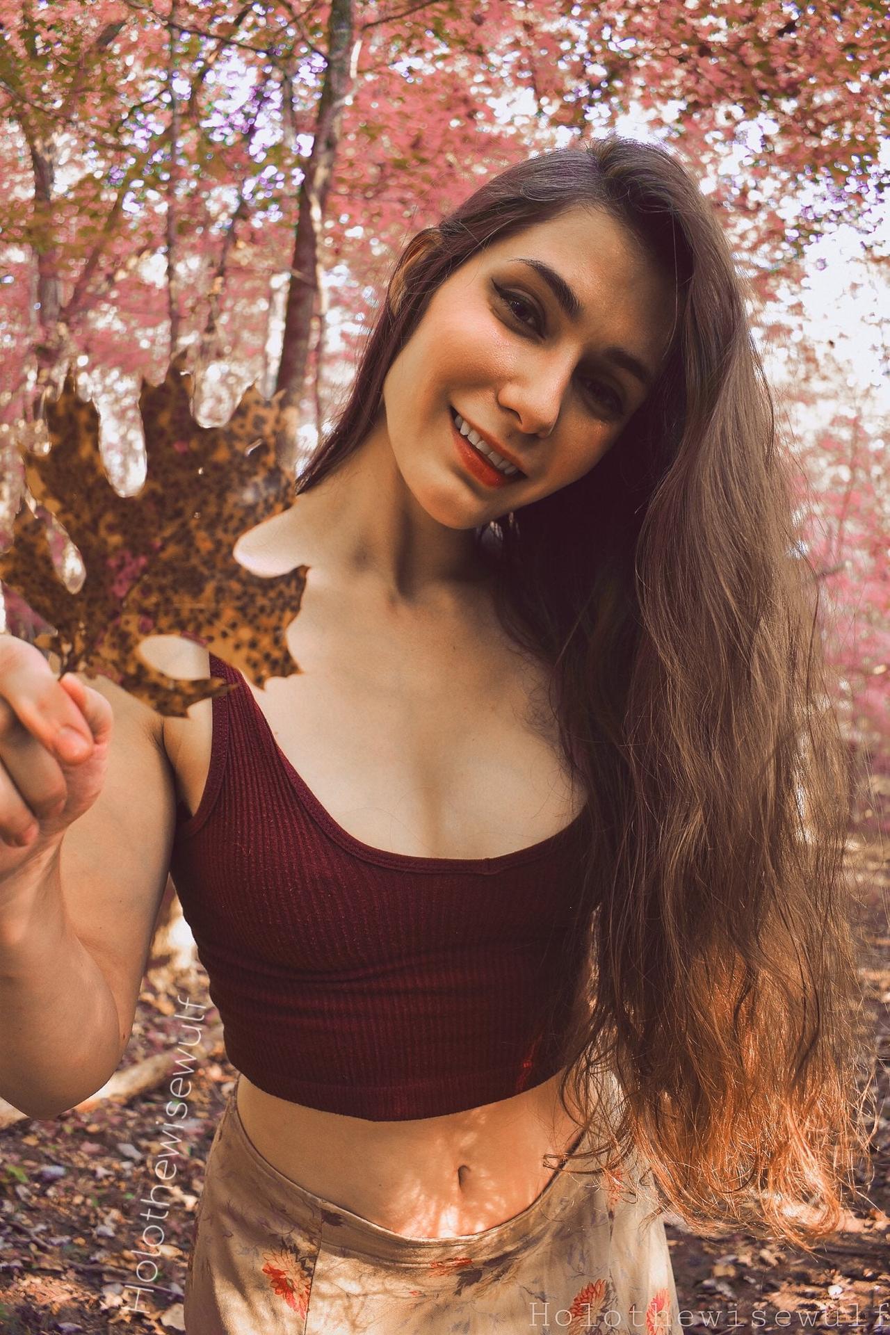 Photo HD HoloWulf - 1