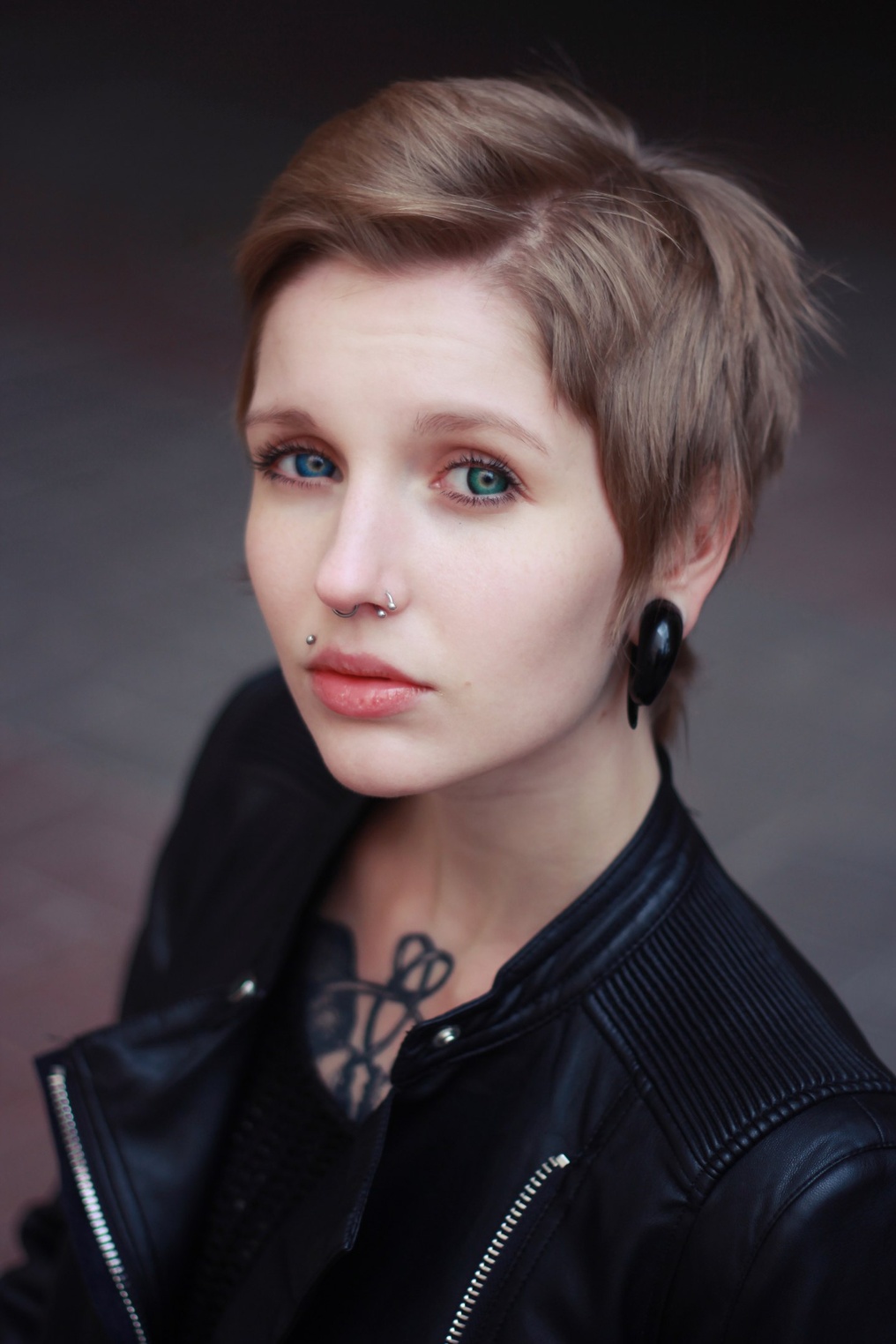 Photo HD Real Red Fox - 5