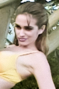 Photo HD Dahlia E - 2