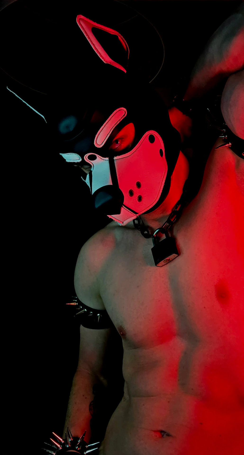 Pup Vaito