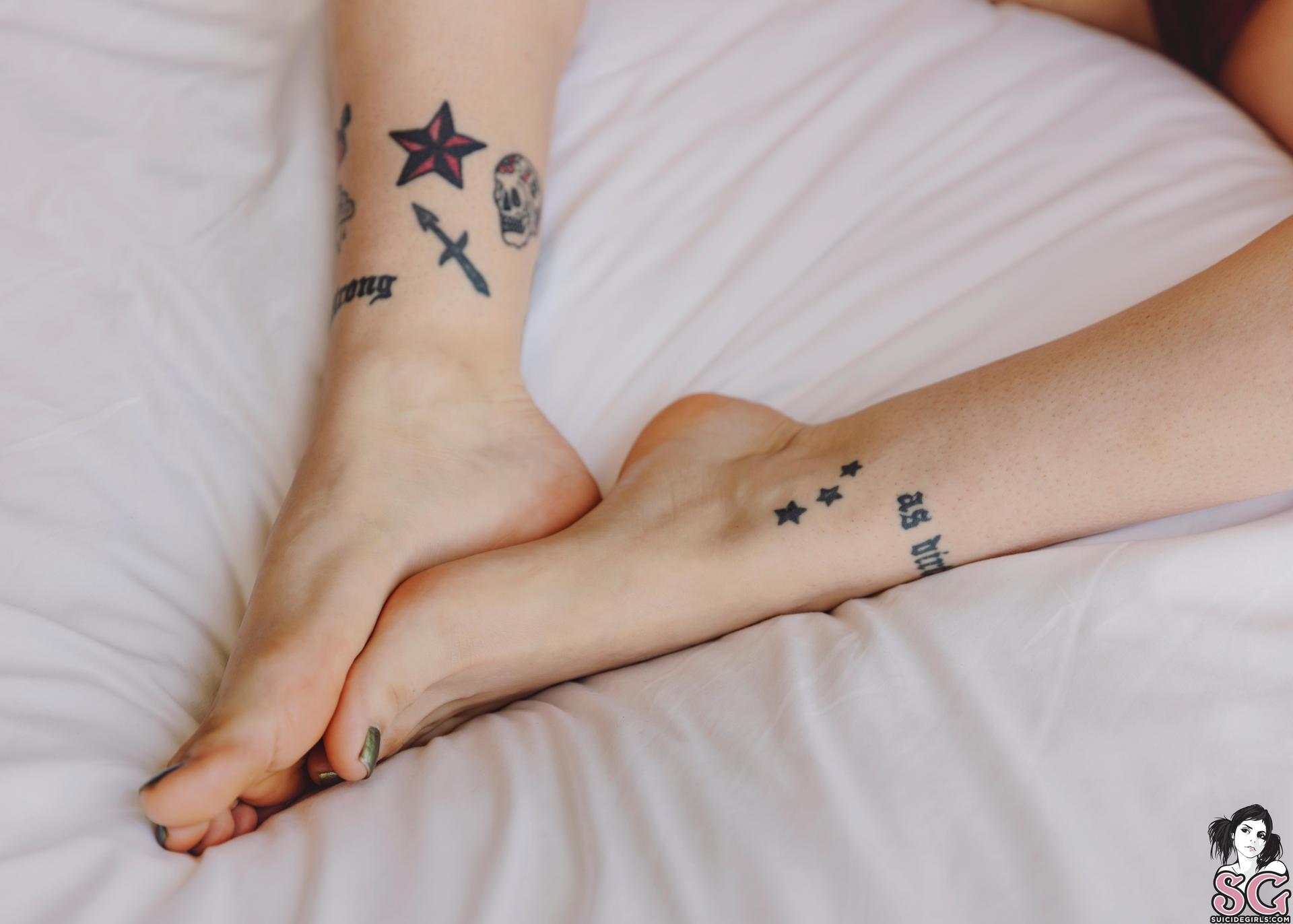 Photo HD Drosera - 8