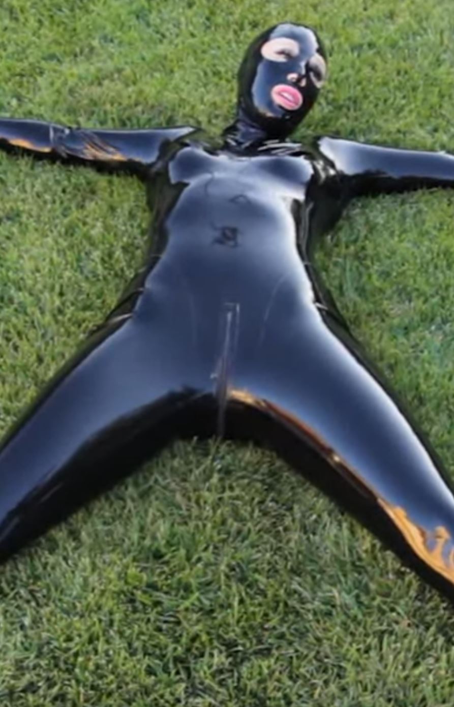 Puss in Heels Sextoys