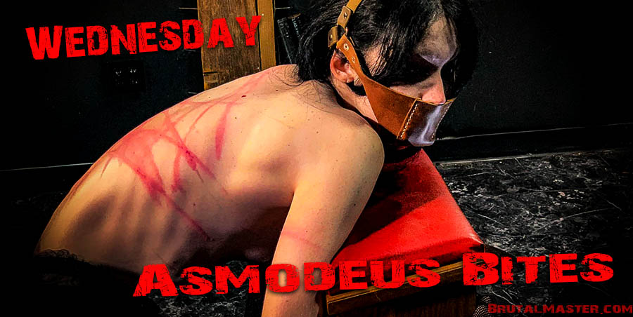Wednesday - Asmodeus Bites