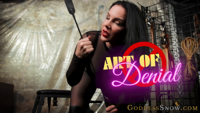 Art of Denial