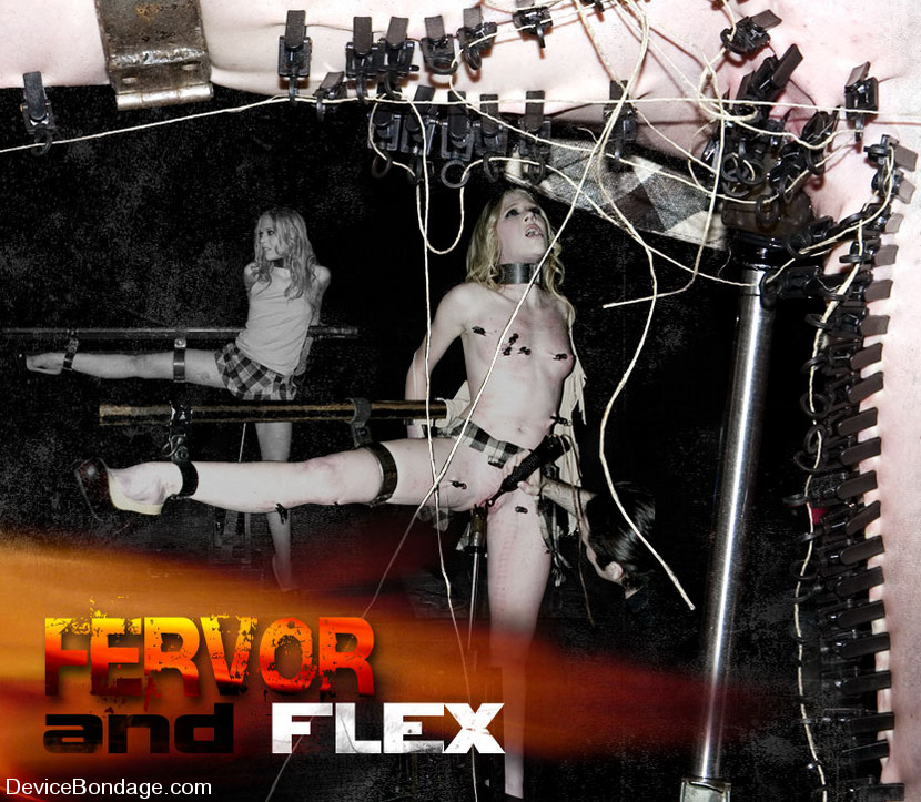 Fervor and Flex