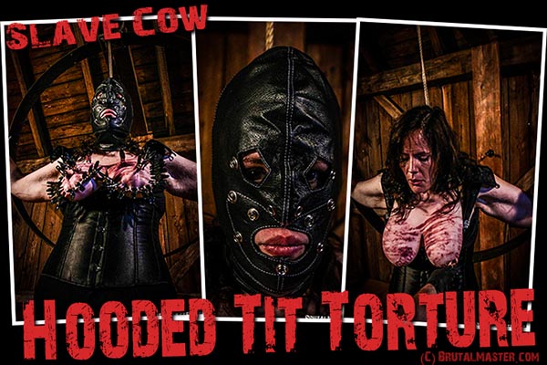 Slave Cow - Hooded Tit Torture