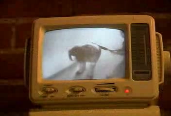 School Security Cam Paddling 2