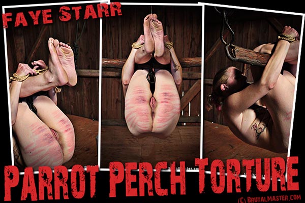 Faye Starr - Parrot Perch Torture